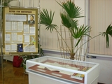 Петров Рэм Викторович