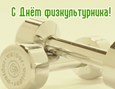 День физкультурника