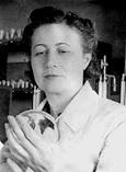 125 лет со дня рождения Ермольевой Зинаиды Виссарионовны (1898 – 1974)